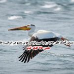 دانلود آهنگ بام مهربونی تو از همه بیشتر قدرمو میدونی از مجید رضوی